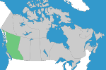 Piping – British Columbia