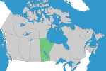 Manitoba Registration Requirements
