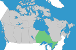 Piping- Ontario