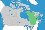 Quebec Registration Requirements